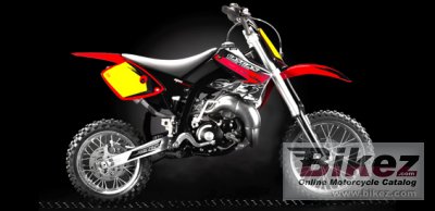 2010 GAS GAS MC 65 Cross Country photo